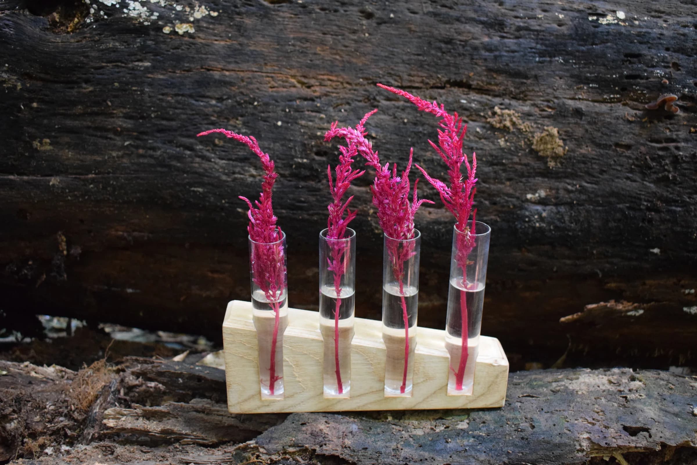 An early Taproot plant-learning prototype